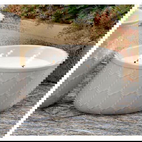 SVIJEĆA ALLURED 7CM 47584 Cijene