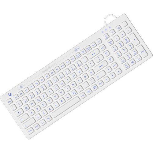 Raidsonic KeySonic KSK-6031INEL-Wh (DE) keyboard Industrial USB QWERTZ German White Cijene