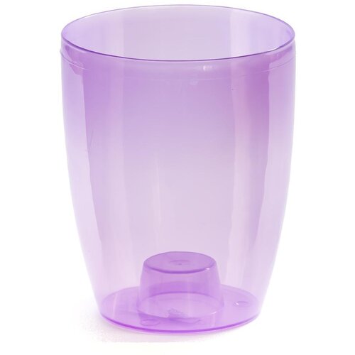 Prosperplast saksija za Orhideju - violet mat CR91G Cene