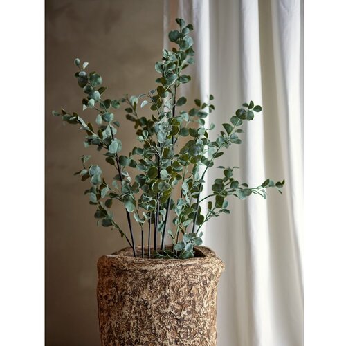 Bloomingville Umetni evkaliptus (vi&amp;scaron;ina 117 cm) &amp;ndash; Slike