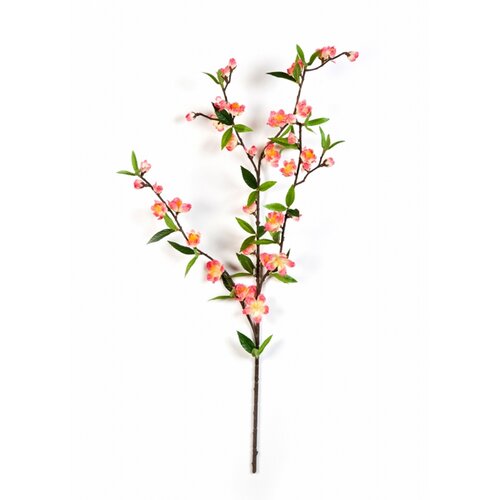 Floraworld Ve&scaron;tačka grana Tre&scaron;nja roze Cene