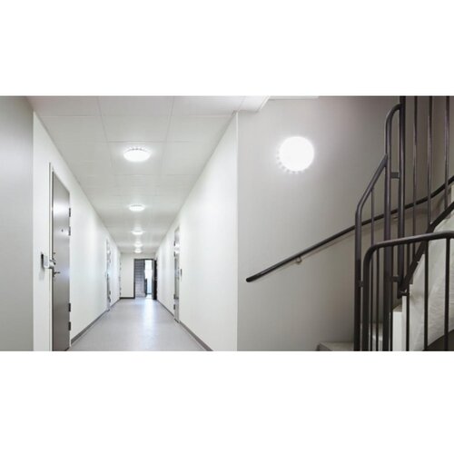 Steinel 081072 - LED plafonsko svetlo sa senzorom RS PRO S10 SC 9,1W/230V 4000K Slike
