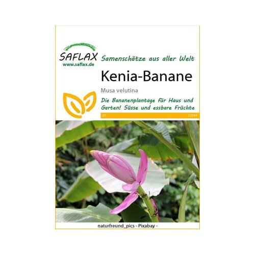 Saflax Kenijska banana Cene