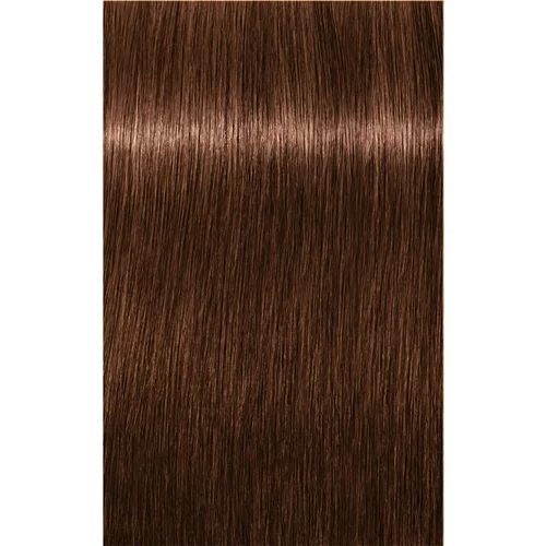 Schwarzkopf IGORA Royal boja za kosu nijansa 6-68 Dark Blonde Chocolate Red 60 ml