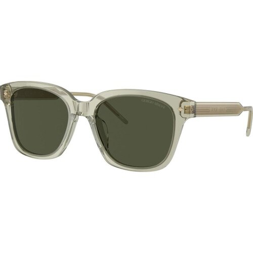 Giorgio Armani Naočare za sunce AR 8210U 608331 Cene