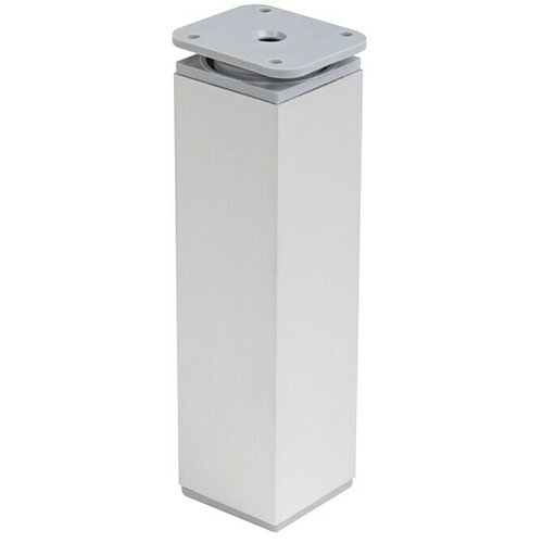 WALTECO Teleskopska noga za namještaj (Š x D: 4 x 4 cm, Podešavanje po visini: 15 cm - 17 cm, Nosivost: 50 kg, Plastika, Kutno) Cijene