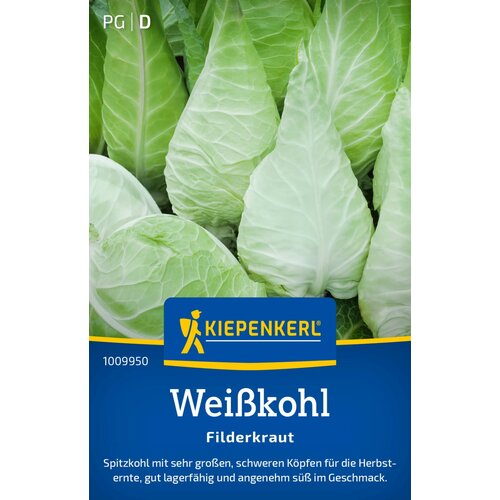 KIEPENKERL Belo zelje Filderkraut - 1 pkt. Slike