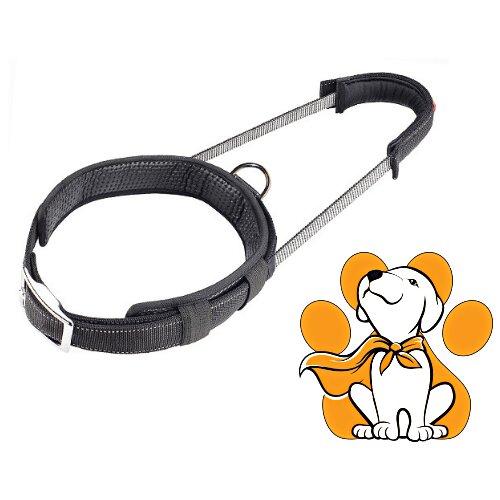 Patento Pet collar Sport XL, Ogrlica Za Pse Sa Integrisanim Povocem Slike