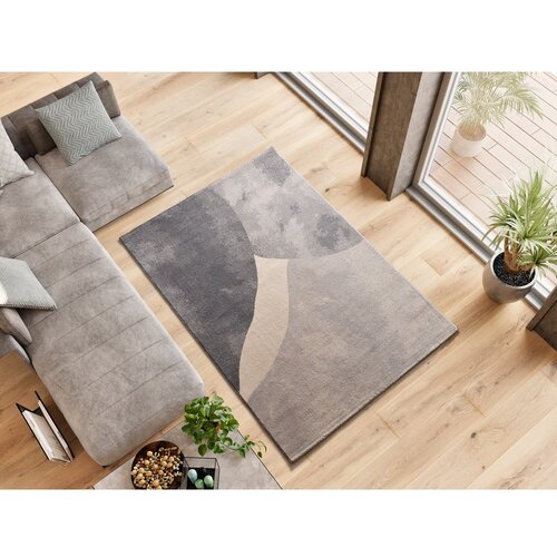Universal Siva preproga 160x230 cm Monic &amp;ndash; Slike
