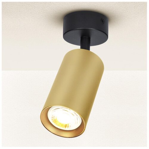  Brilagi - Spot svetlo SELE GOLDEN 1xGU10/30W/230V crna/zlatna Cene