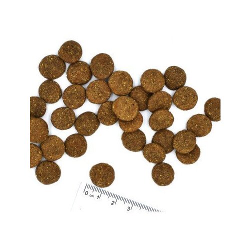 Monge dog adult all breeds monoprotein govedina&riza 12kg Cene