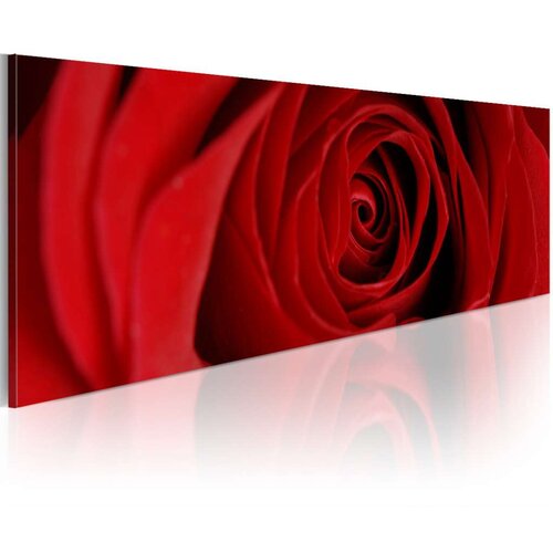  Slika - Midnight rose 135x45 Slike