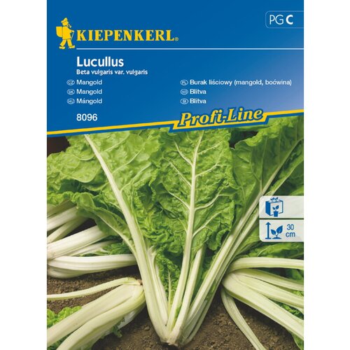 KIEPENKERL Sjeme povrća blitva Lucullus (Beta vulgaris var. vulgaris, Berba: Svibanj) Cijene