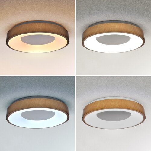  Brilagi - prigu&amp;scaron;iva LED stropna svetiljka DORIA LED/48W/230V 3000-6500K + daljinski upravljač Slike