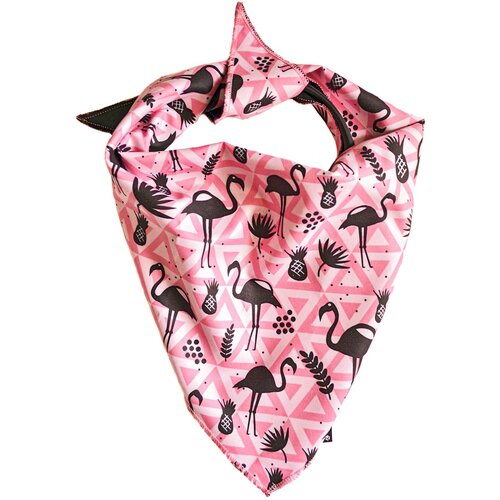 13th Dog marama za psa flamingo bandana s roze Slike
