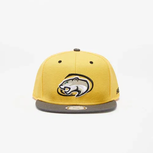 Puma x Hometown Heroes Basketball FB Cap