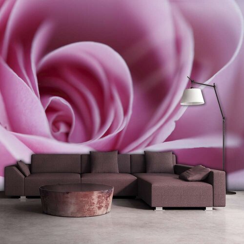  Tapeta - Pink rose 300x231 Cijene