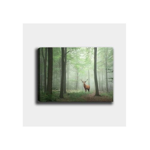 Wallity Slika 1060377443_70100, 70x100cm Cijene