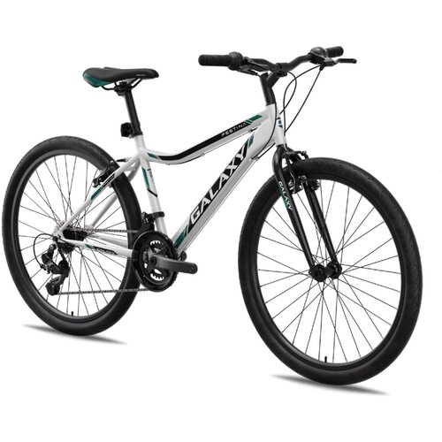 Galaxy Bicikl FESTINA FS 26 siva/crna/zelena Cene
