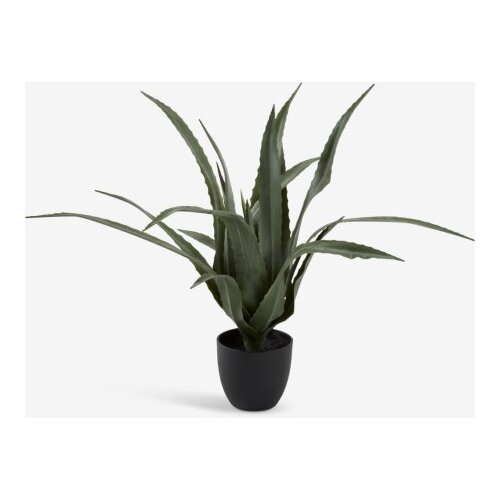  Vještačka biljka Aloe vera, 65cm, Zelena Cene