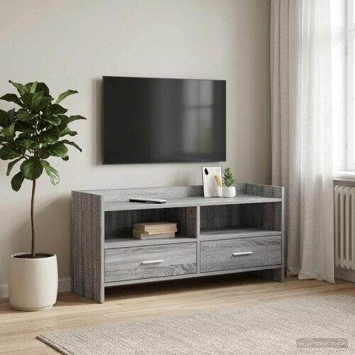 TV ormar 100 x 33 x 47 cm Siva Sonoma Konstruirano drvo Cijene