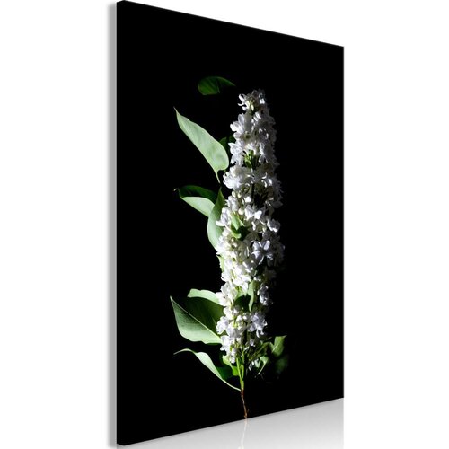  Slika - White Lilacs (1 Part) Vertical 60x90 Cijene
