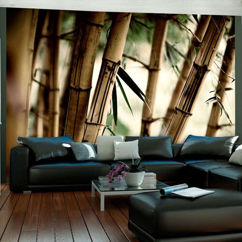  Tapeta - Fog and bamboo forest 300x231 Cijene