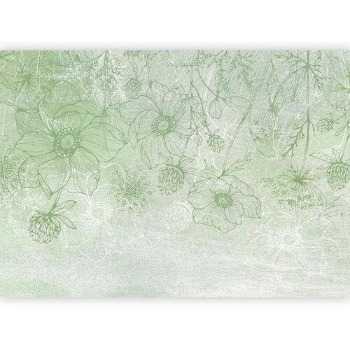  Foto tapeta - Flowery meadow - nature with field flowers lineart on green background 350x256 Cene