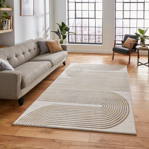 Think Rugs Svetlo siva/v zlati barvi preproga 80x150 cm Apollo &amp;ndash; Slike