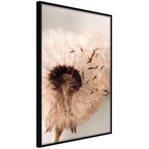  Poster - Piece of the Summer 30x45 Slike