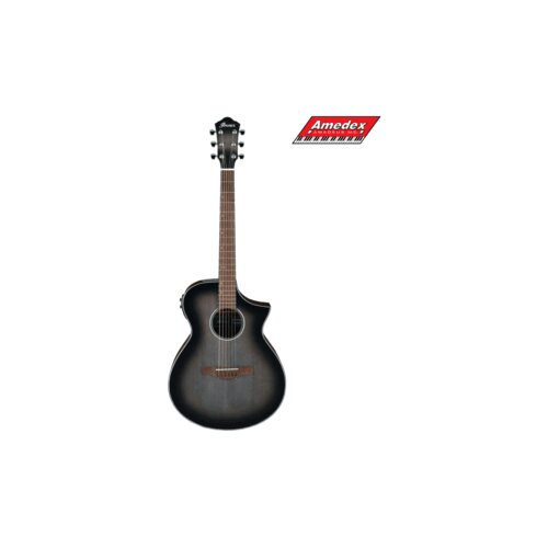  GITARA EL.-AK. IBANEZ AEWC11-TCB Cijene