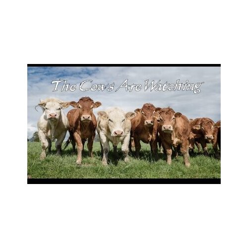  the cows are watching (pc) steam key global Cene