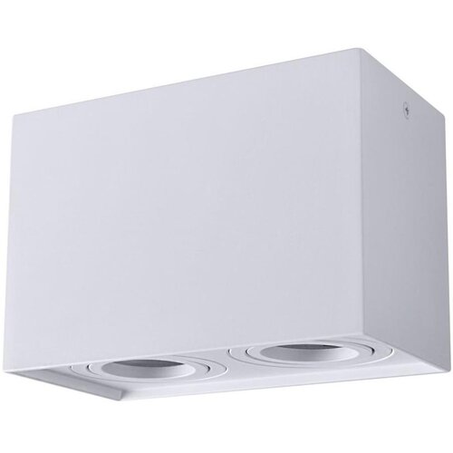  Stropno spot svetlo HADAR Q2 2xGU10/10W/230V belo Cene