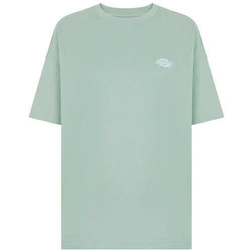 Dickies Majica 'Summerdale' zelena Cene