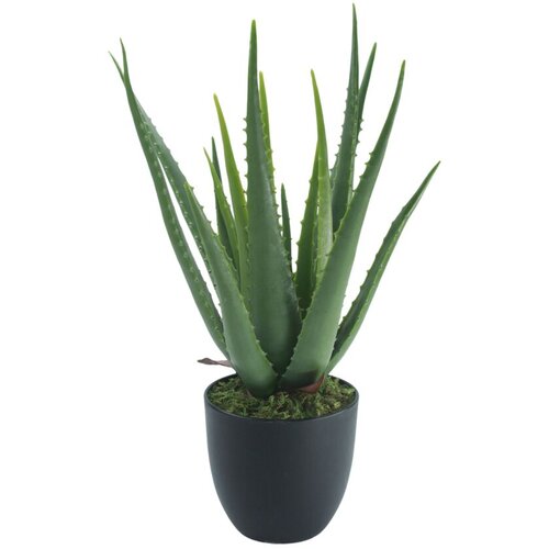 DEKOR DOM Ve&amp;scaron;tačko cveće u saksiji Aloe vera Slike