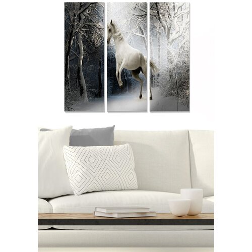 Wallity Set slika MDF580375, 3 dijela Cene