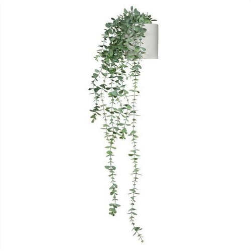 MID.YOU Umetna Rastlina Eucalyptus Climb Slike