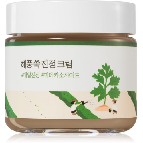 Round Lab Birch Juice Moisturizing Sunscreen Intenzivna hidratantna emulzija za smirenje kože lica 80 ml Slike