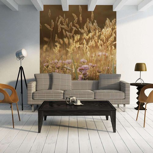  Tapeta - Awakening ceral field 300x231 Slike