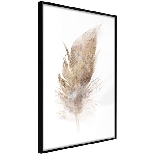  Poster - Lost Feather (Beige) 40x60 Slike