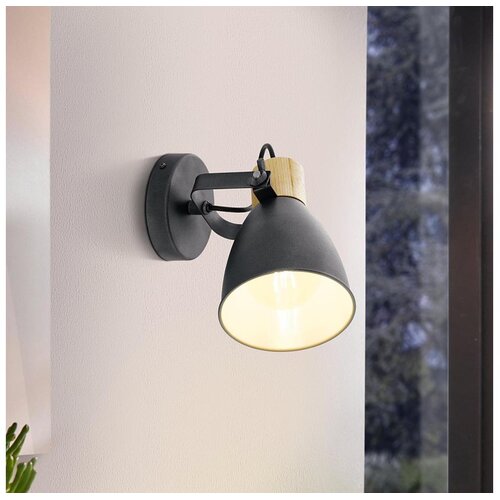 Eglo 901174 - Reflektor COSWARTH 1xE27/25W/230V Cene
