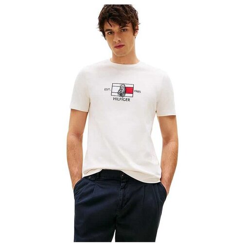 Tommy Hilfiger pamučna muška majica THMW0MW38628-Z00 Cene