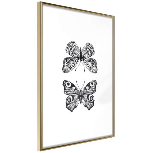  Poster - Butterfly Collection I 40x60 Cijene