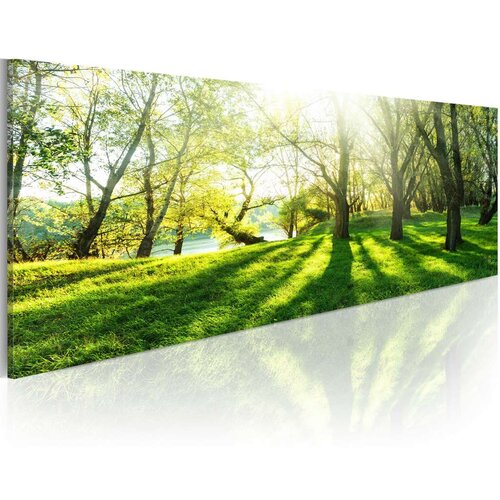  Slika - Rays of Sunshine 120x40 Slike