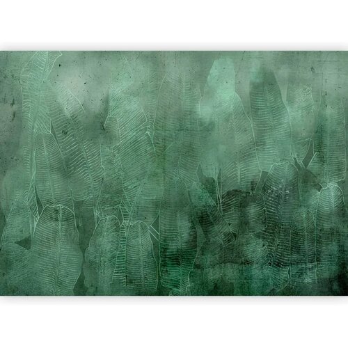  Foto tapeta - Green Banana Leaves 343x256 Slike