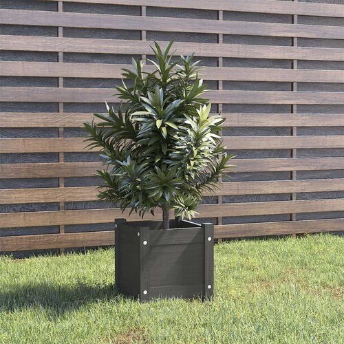 vidaXL Vrtna sadilica siva 31 x 31 x 31 cm od masivne borovine Cijene