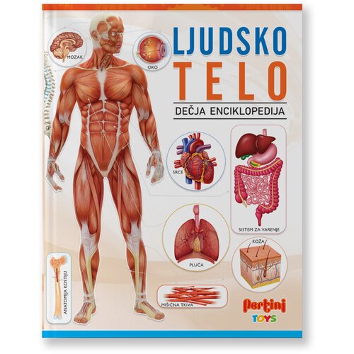 Pertini Books Ljudsko telo dečija enciklopedija Cene