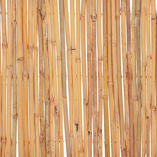  Ograda od bambusa 500 x 50 cm Slike