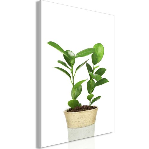  Slika - Plant In Pot (1 Part) Vertical 40x60 Slike