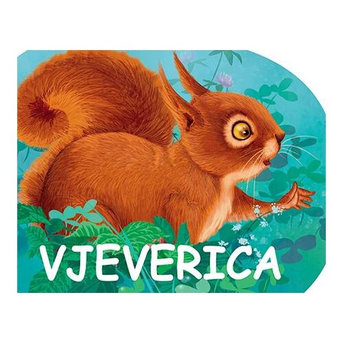  Knjiga Male &amp;scaron;umske životinje - Vjeverica Slike